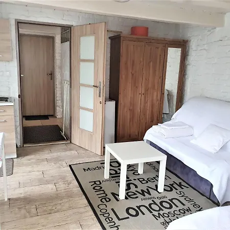 Fajne Stylowe Studio Z Aneksem Kuchennym Poznan